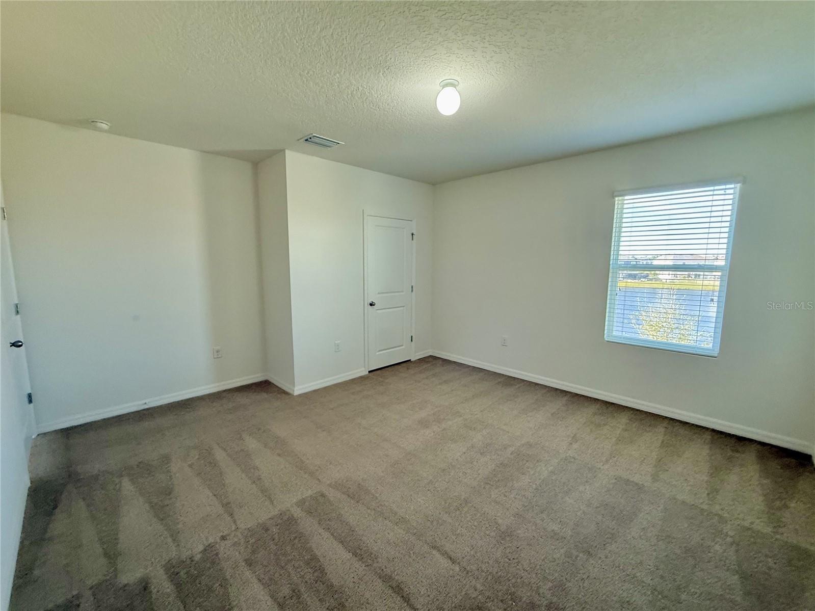 31000 Summer Sun Loop Wesley Chapel FL 33545 TB8491481 image20
