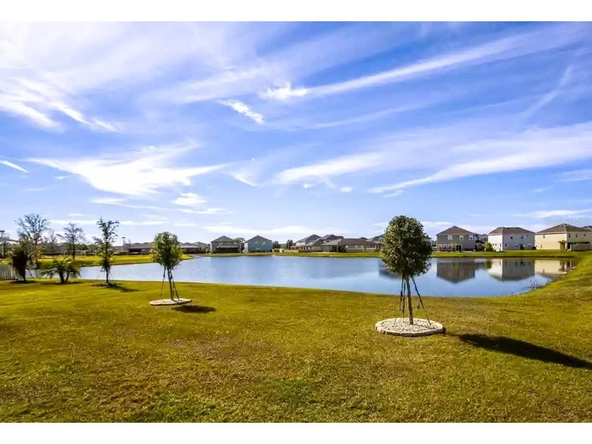 31000 Summer Sun Loop Wesley Chapel FL 33545 TB8491481 image30