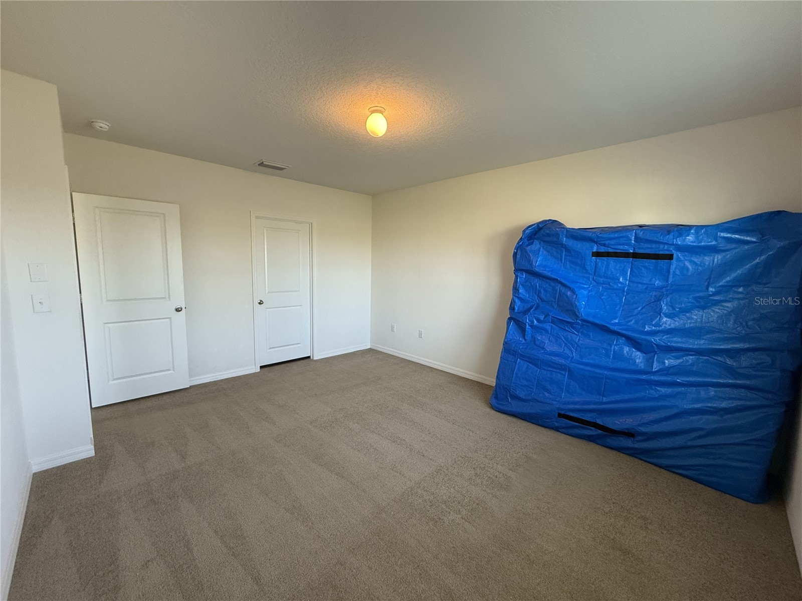31000 Summer Sun Loop Wesley Chapel FL 33545 TB8491481 image9