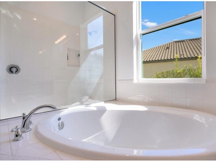 3101 Agostino Terrace Kissimmee FL 34746 O6367931 image22