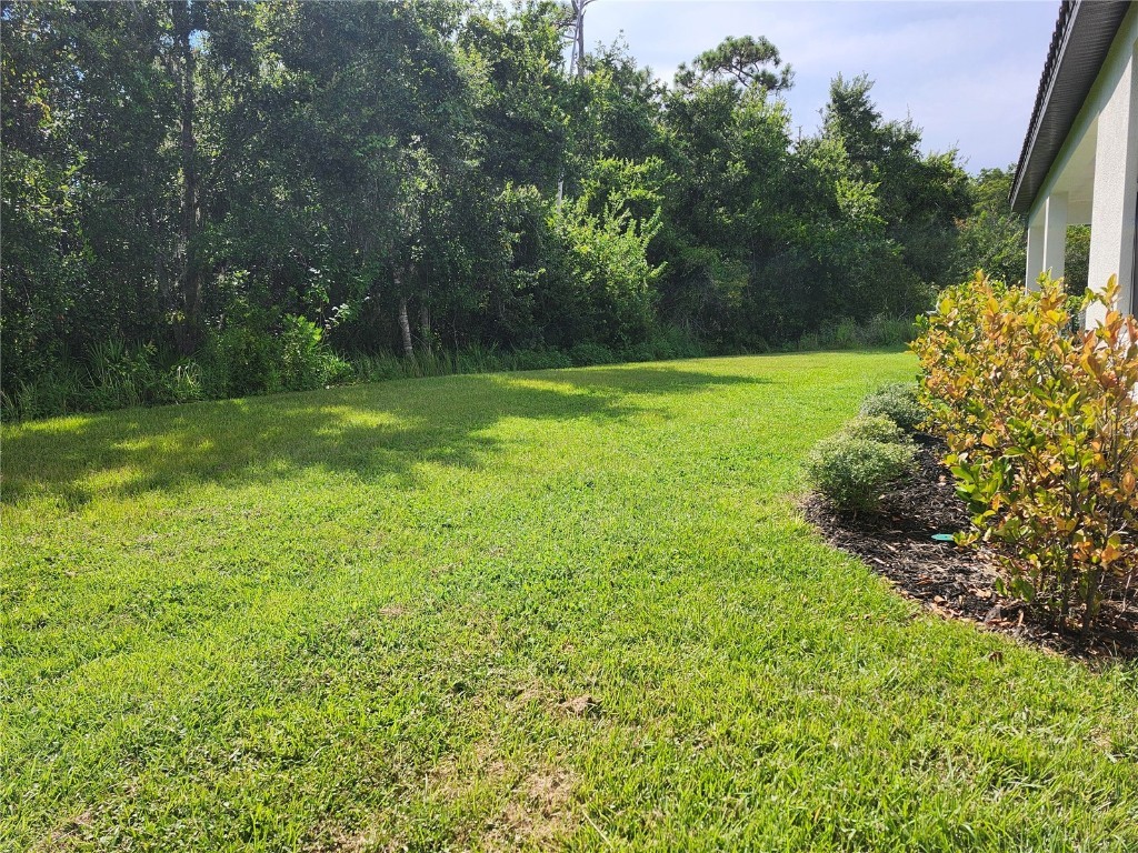 3101 Agostino Terrace Kissimmee FL 34746 O6367931 image39