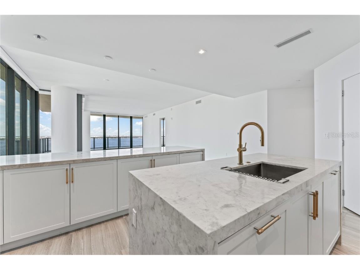 3101 Bayshore Boulevard #1901 Tampa FL 33629 TB8314061 image11