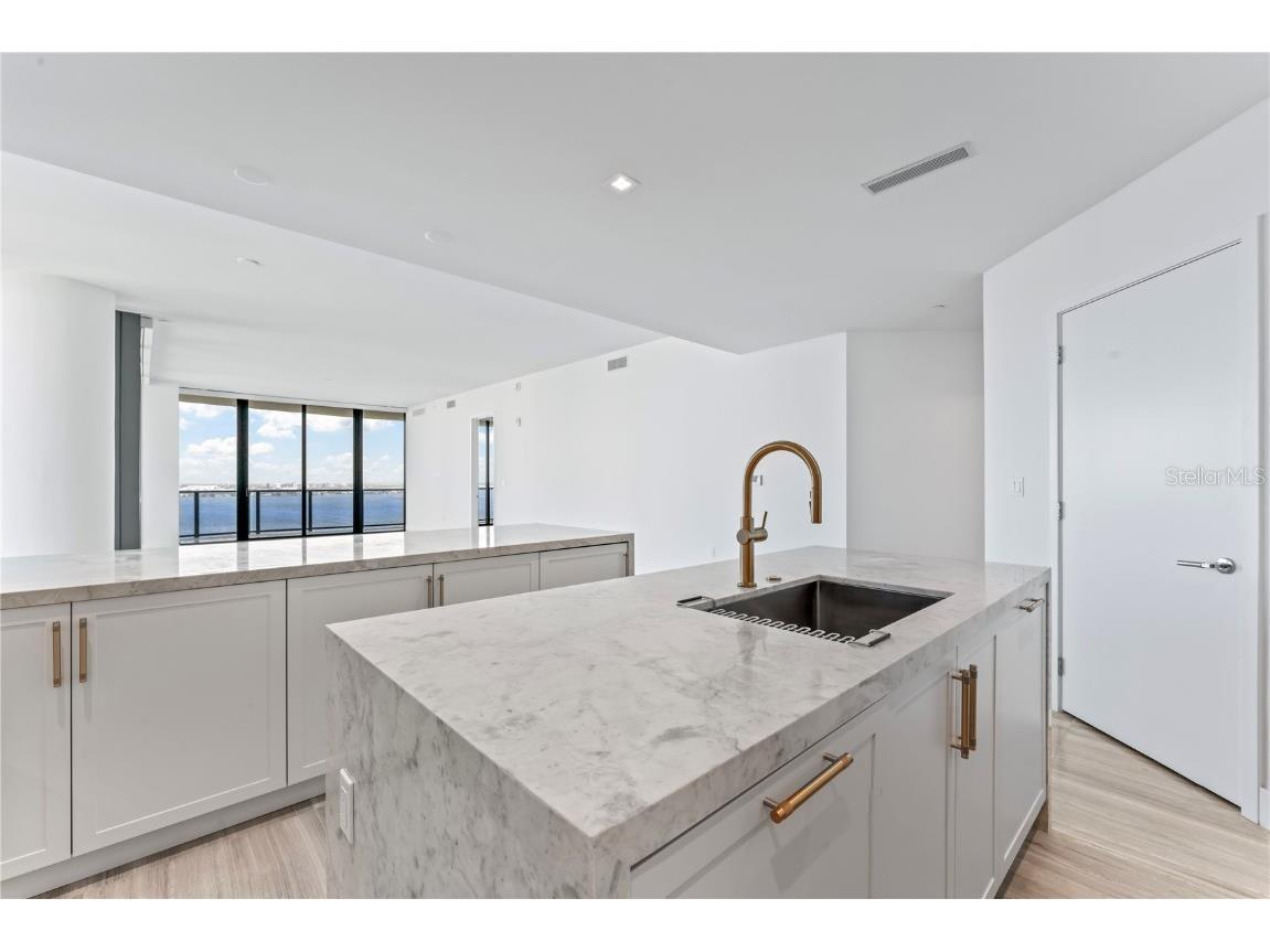 3101 Bayshore Boulevard #1901 Tampa FL 33629 TB8314061 image17