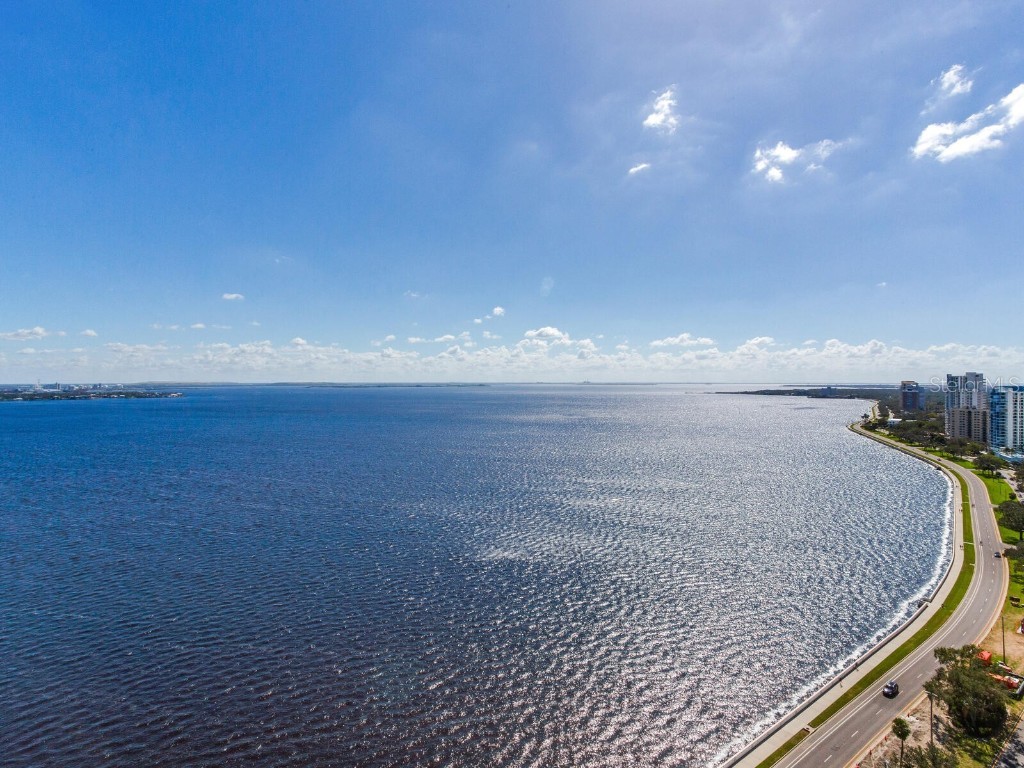 3101 Bayshore Boulevard #2204 Tampa FL 33629 TB8321264 image36