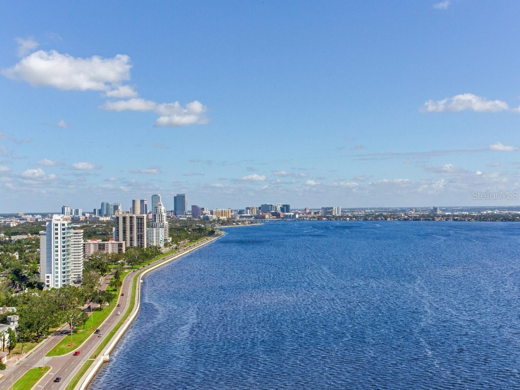 3101 Bayshore Boulevard #2204 Tampa FL 33629 TB8445181 image37