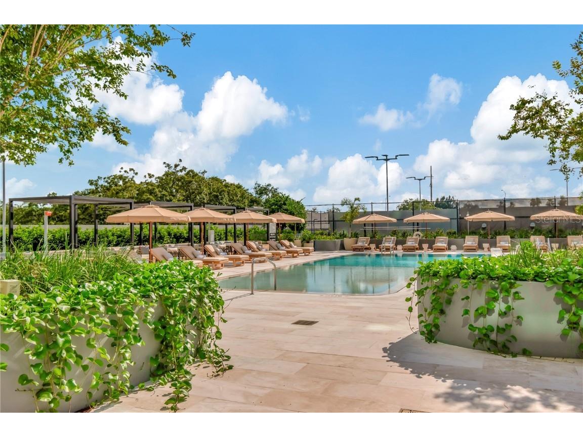 3101 Bayshore Boulevard #2501 Tampa FL 33629 TB8425115 image66