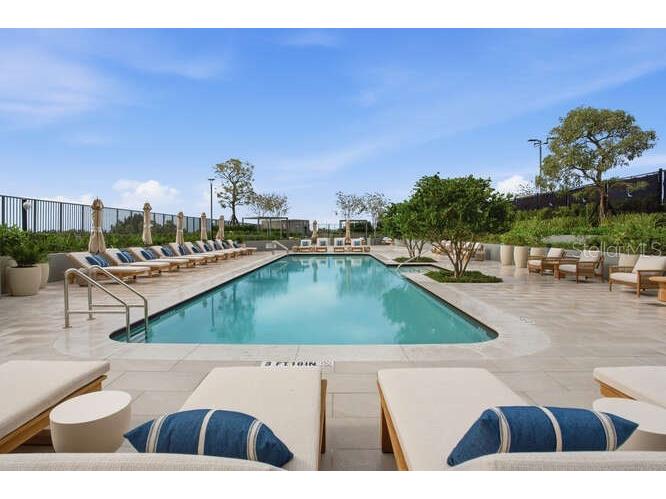 3101 Bayshore Boulevard #303 Tampa FL 33629 - TAMPA BAY TB8476844 image91