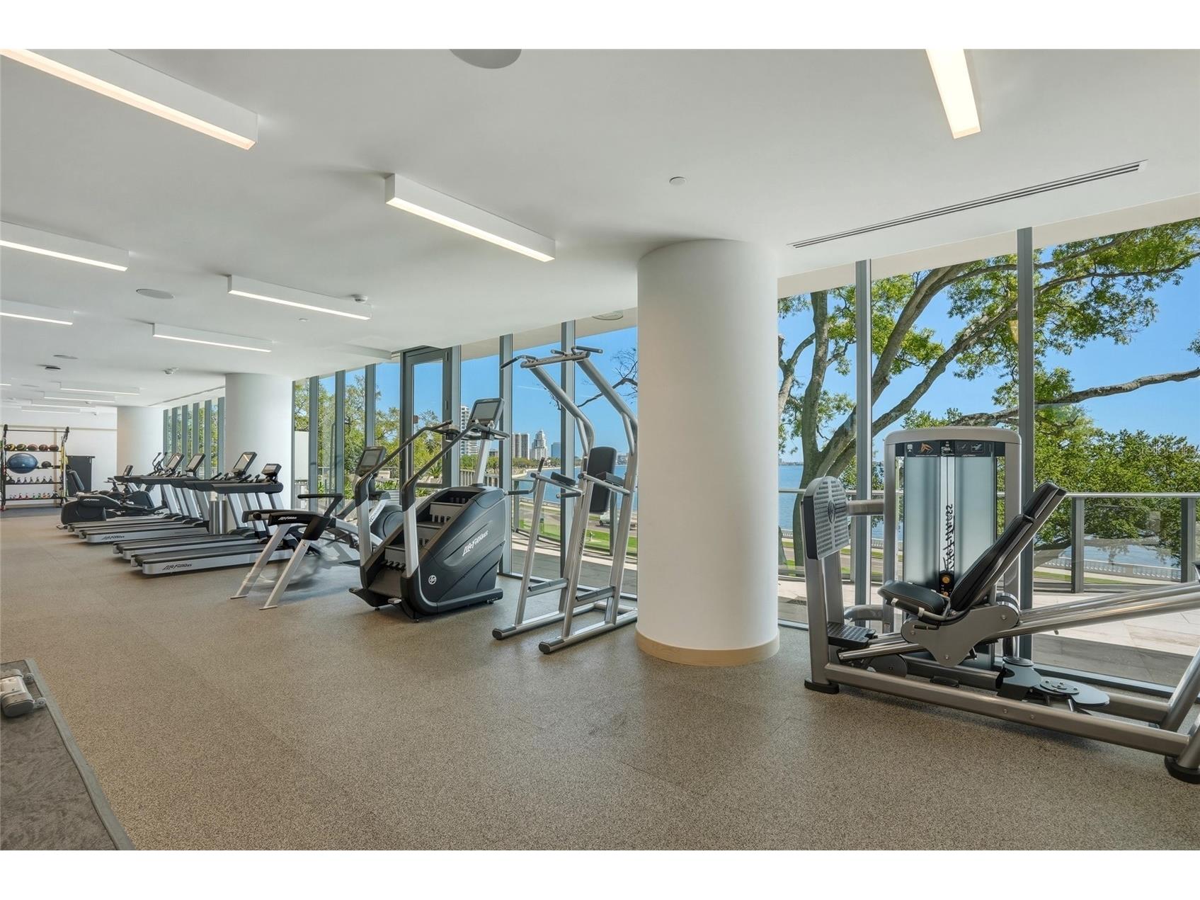 3101 Bayshore Boulevard #504 Tampa FL 33629 TB8482386 image66