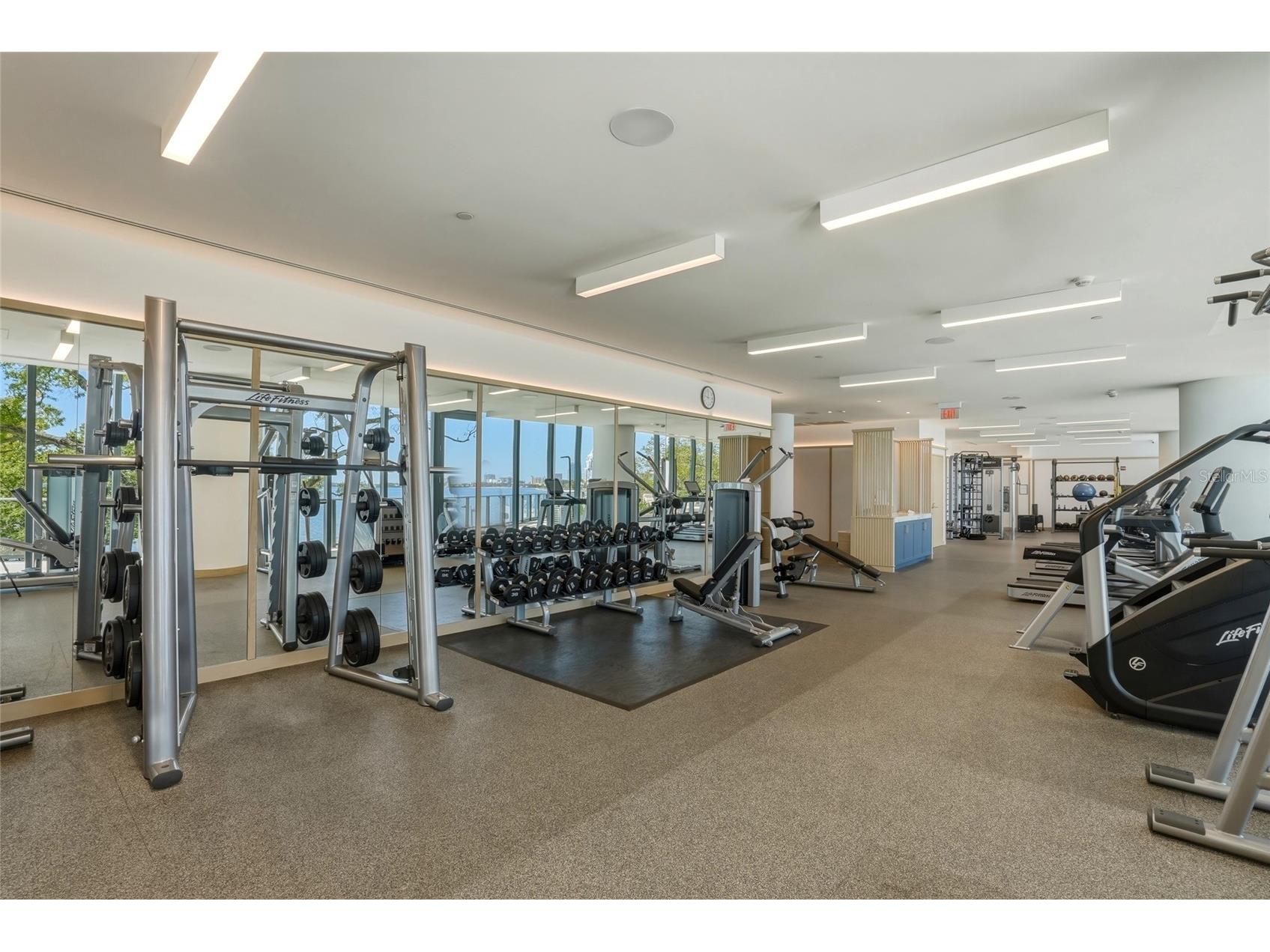 3101 Bayshore Boulevard #504 Tampa FL 33629 TB8482386 image67