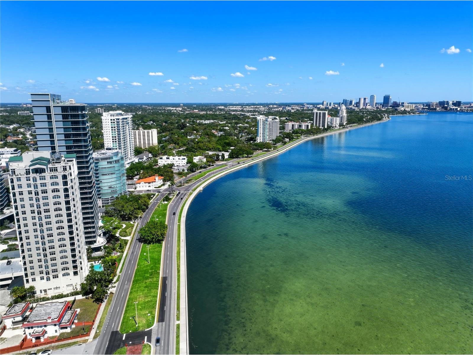 3101 Bayshore Boulevard #504 Tampa FL 33629 TB8482386 image83