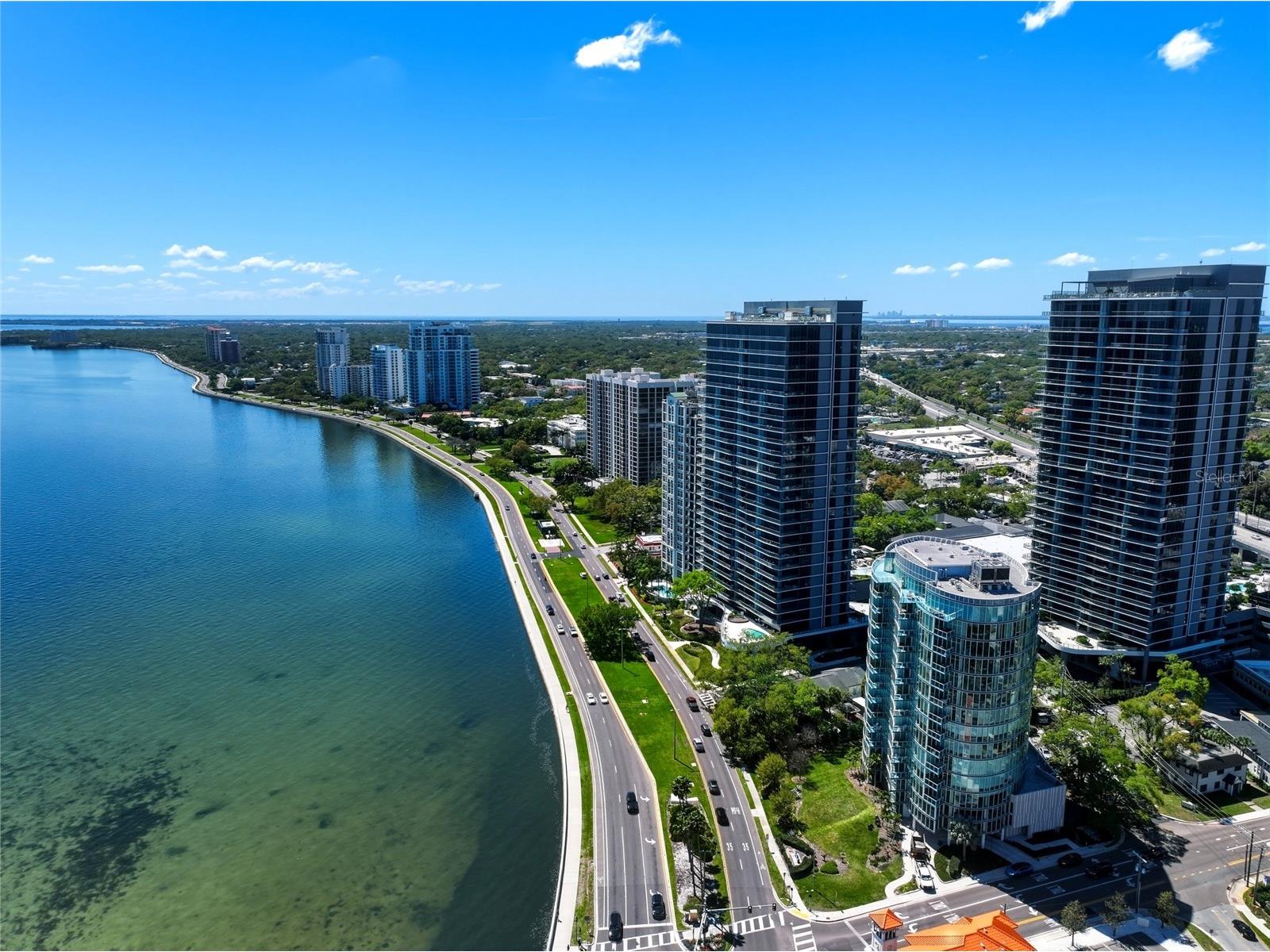 3101 Bayshore Boulevard #504 Tampa FL 33629 TB8482386 image86
