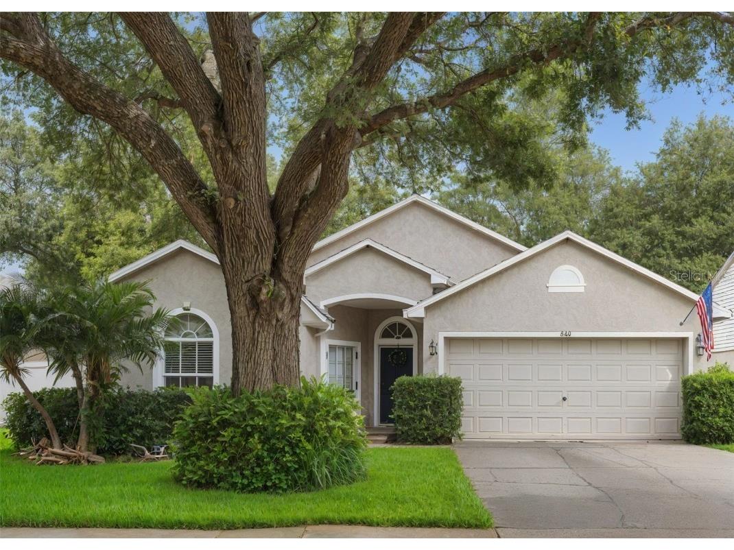 3101 Beaver Pond Trail Valrico FL 33596 TB8394842 image1