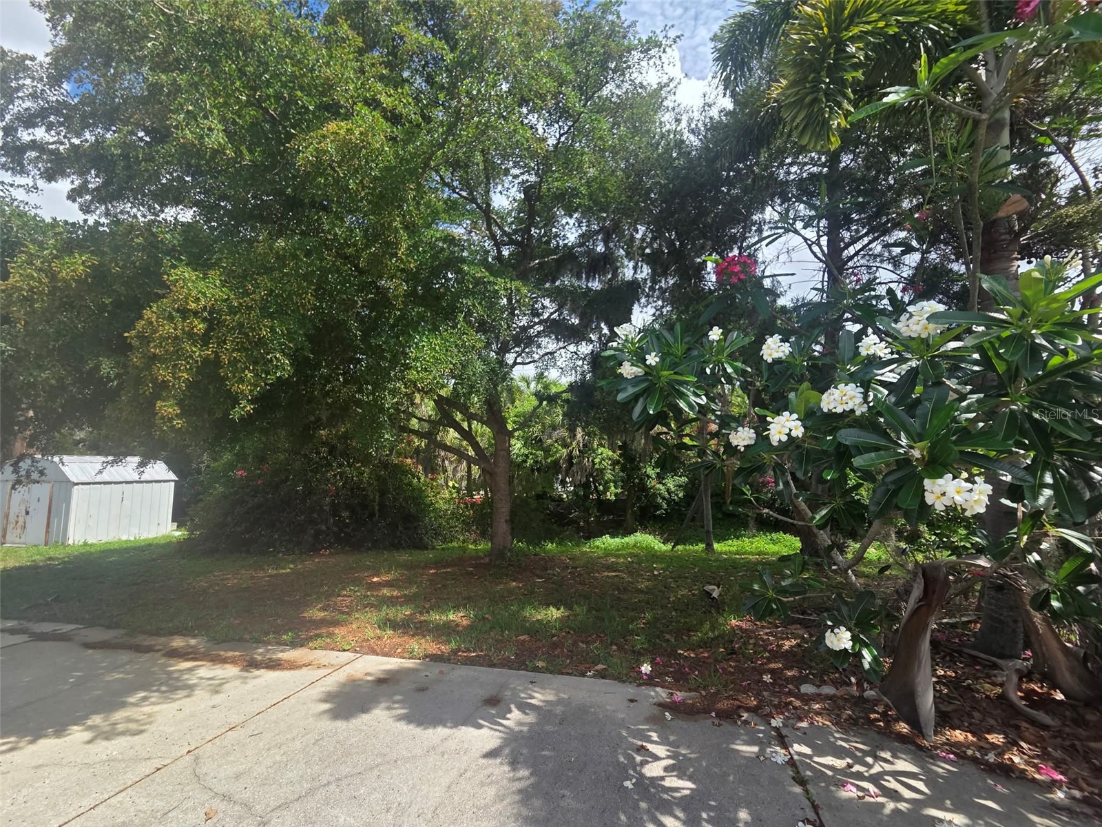 3101 Bispham Road Sarasota FL 34231 A4693789 image14