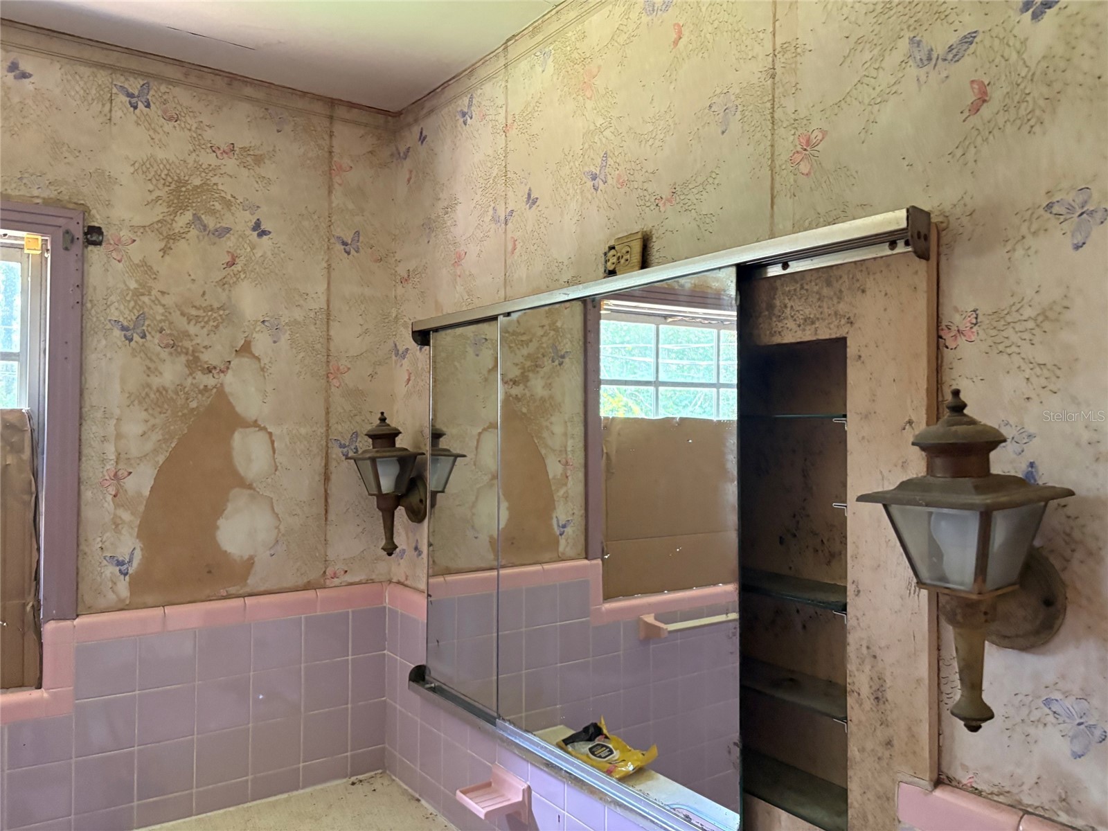 3101 Bloomingdale Ave Valrico FL 33596 TB8524008 image14