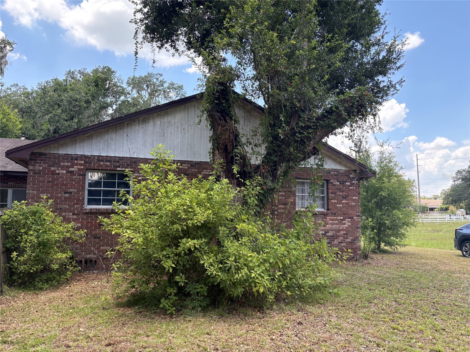 3101 Bloomingdale Ave Valrico FL 33596 TB8524008 image24