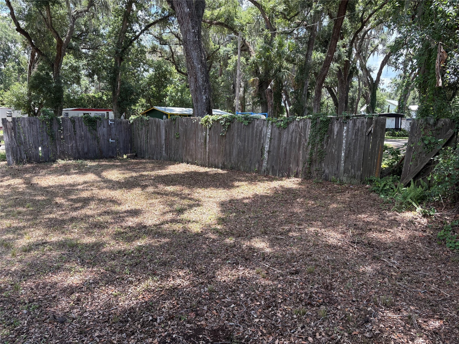 3101 Bloomingdale Ave Valrico FL 33596 TB8524008 image25