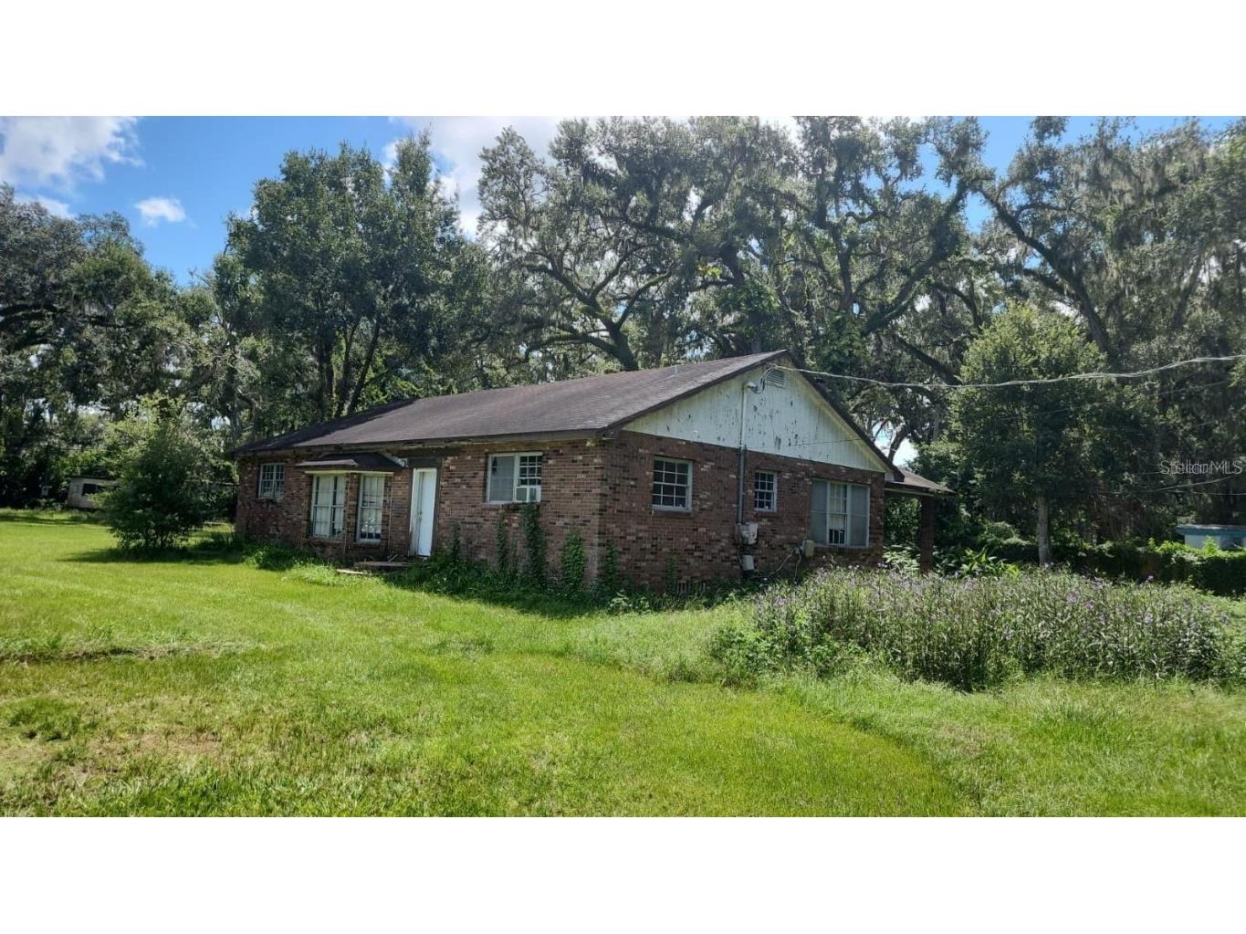 3101 Bloomingdale Avenue Valrico FL 33596 S5137610 image3