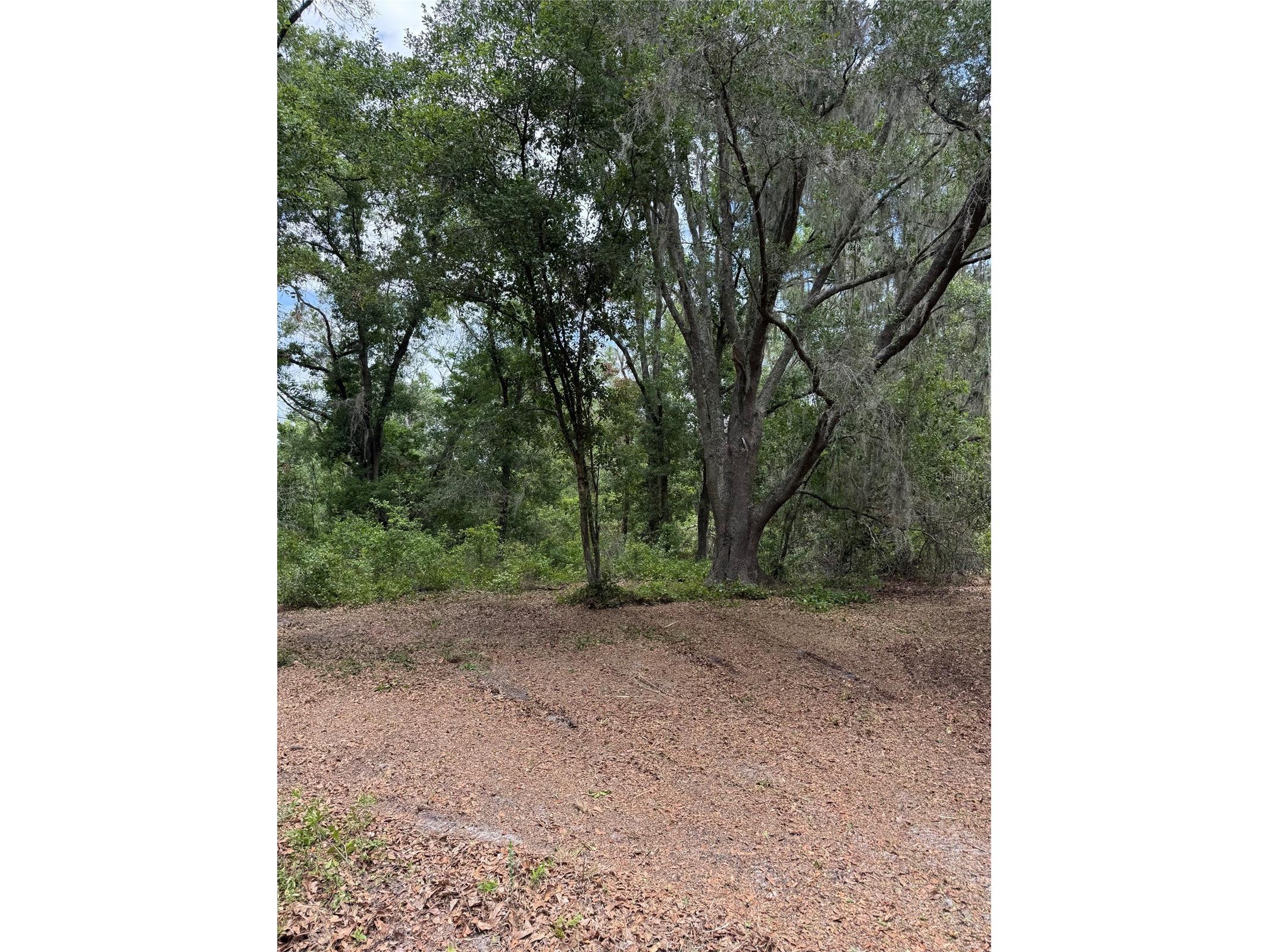3101 Bruton Road Plant City FL 33565 TB8517172 image10