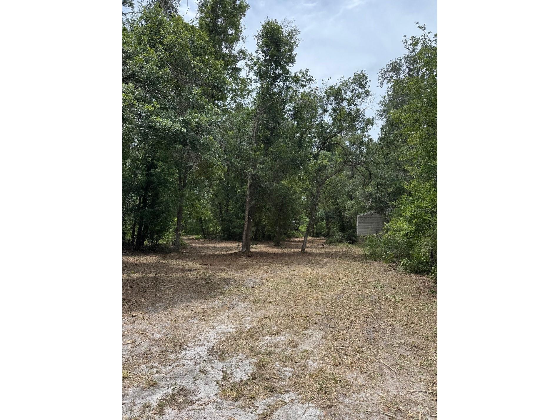 3101 Bruton Road Plant City FL 33565 TB8517172 image11