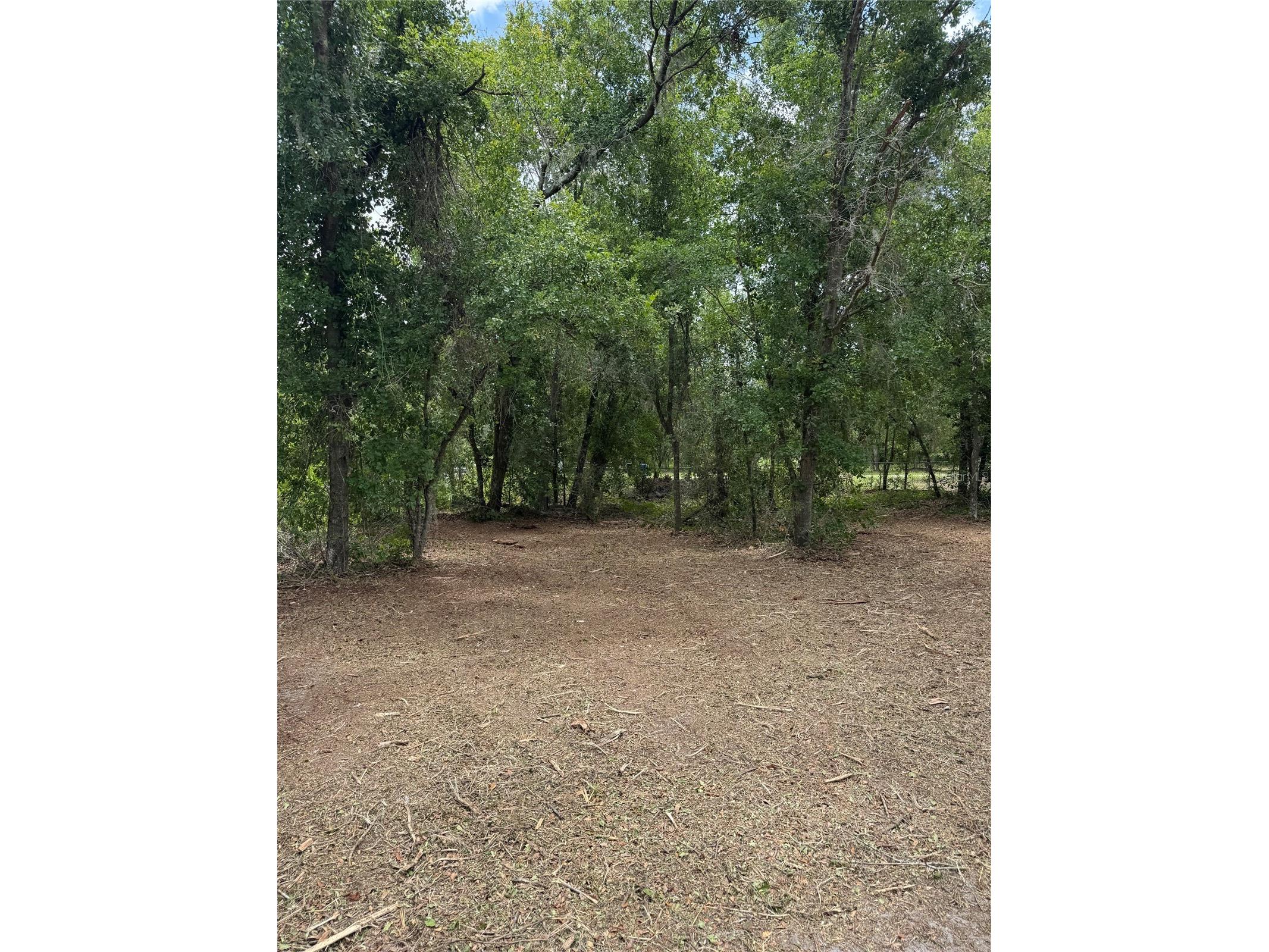 3101 Bruton Road Plant City FL 33565 TB8517172 image5