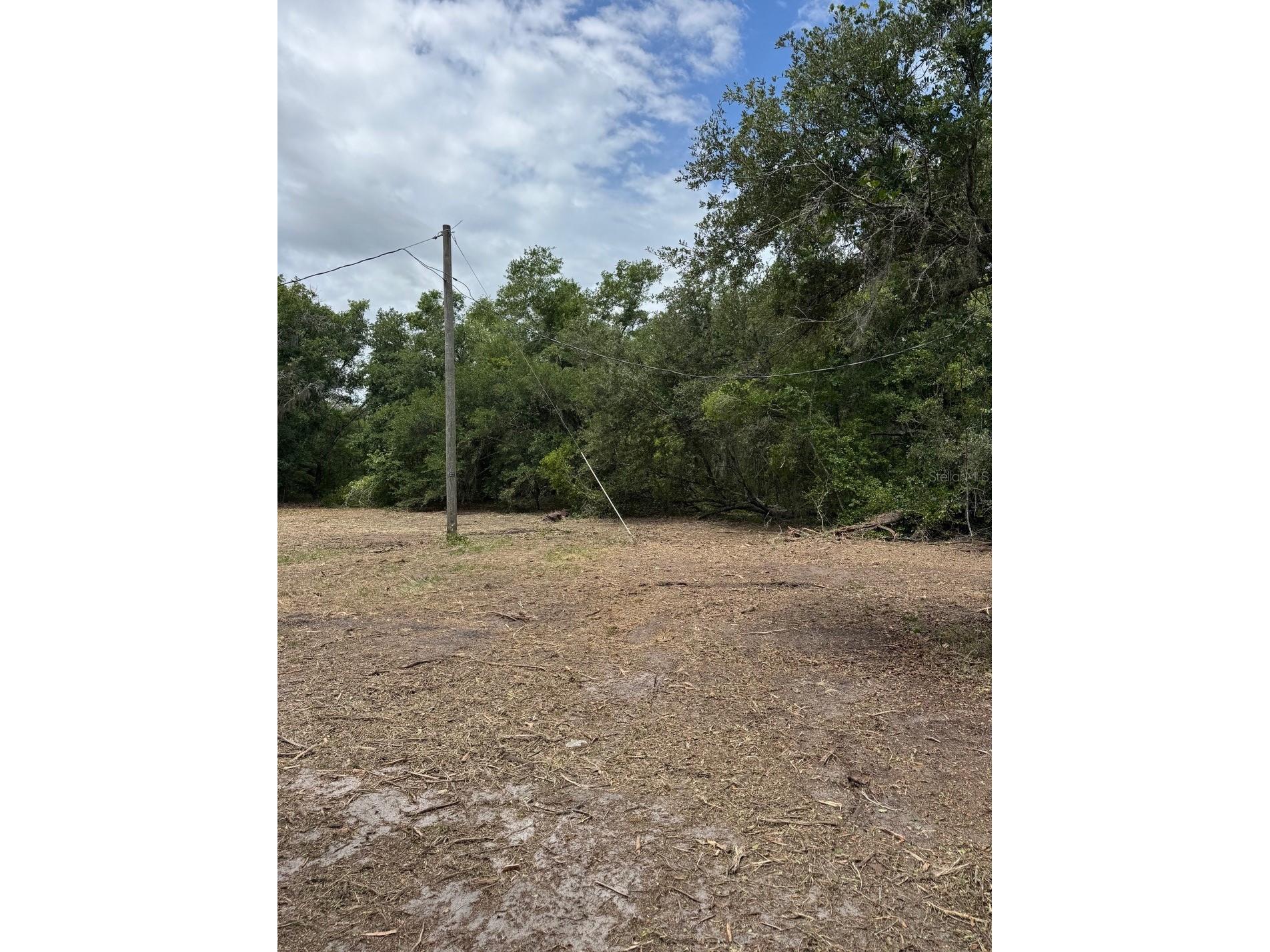 3101 Bruton Road Plant City FL 33565 TB8517172 image7