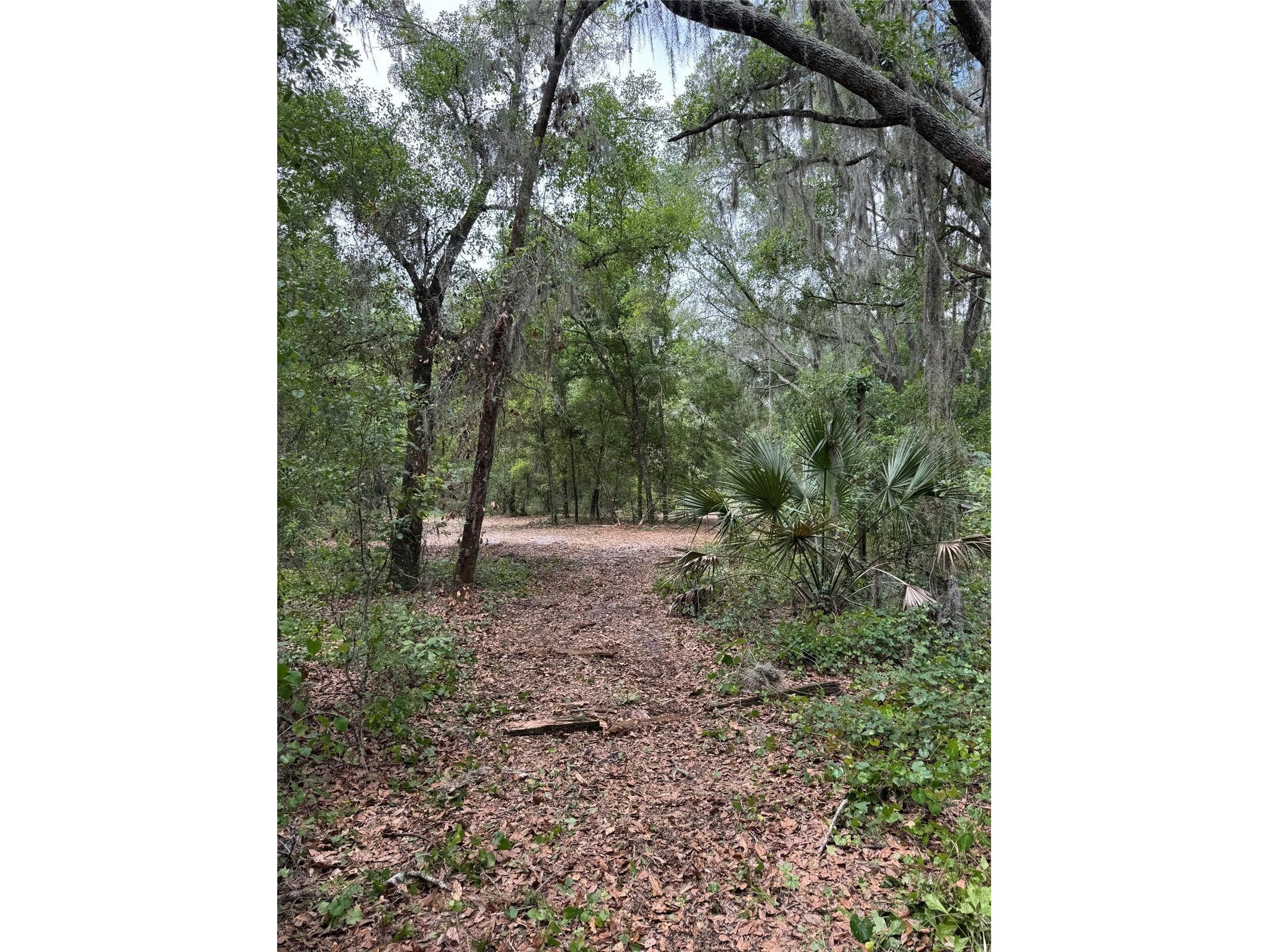 3101 Bruton Road Plant City FL 33565 TB8517172 image8