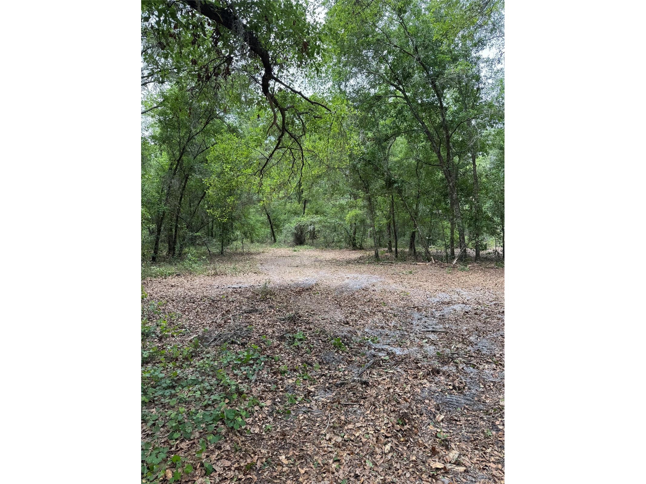 3101 Bruton Road Plant City FL 33565 TB8517172 image9