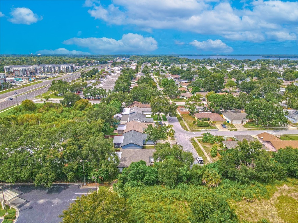 3101 Carriage Drive Palm Harbor FL 34684 TB8426980 image29