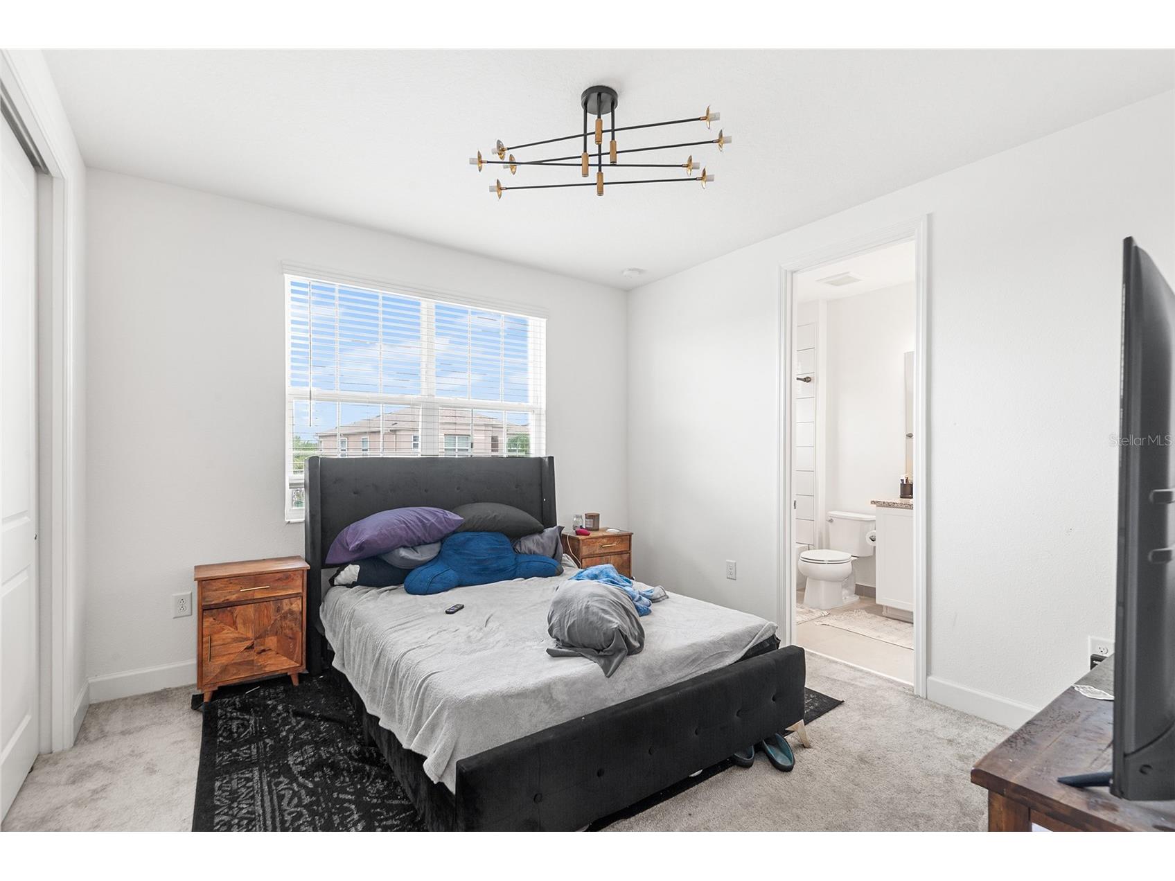 3101 Hollow Hickory Place Wesley Chapel FL 33543 TB8516698 image17