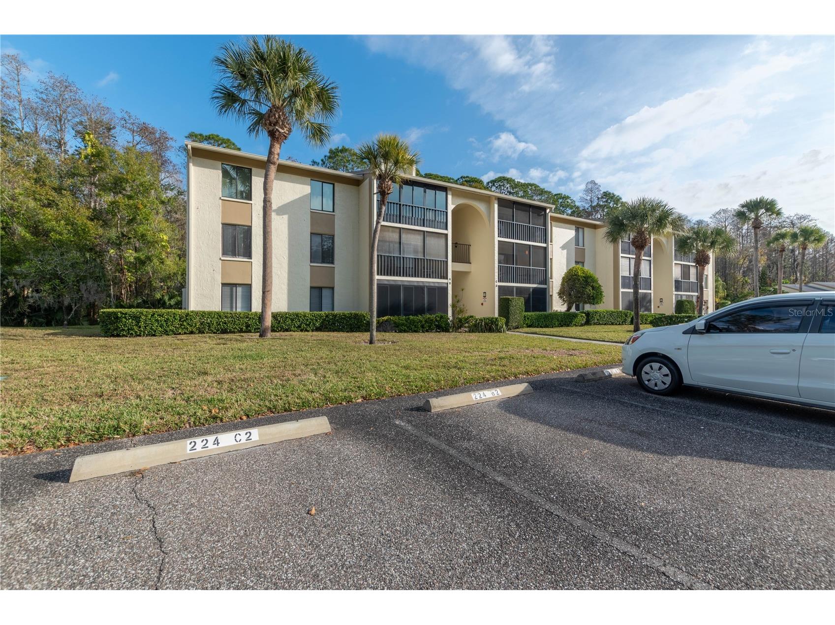 3101 Lake Pine Way #A1 Tarpon Springs FL 34688 TB8462617 image1