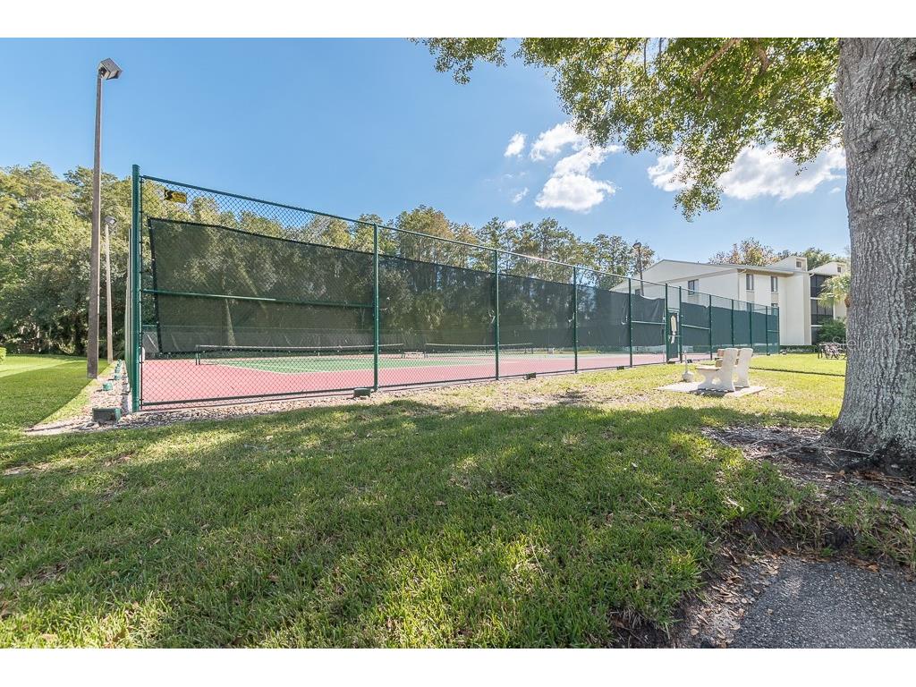 3101 Lake Pine Way #A1 Tarpon Springs FL 34688 TB8462617 image17