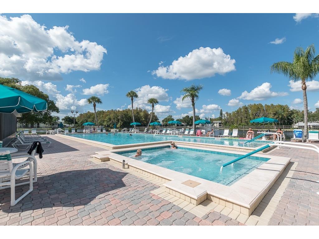 3101 Lake Pine Way #A1 Tarpon Springs FL 34688 TB8462617 image21