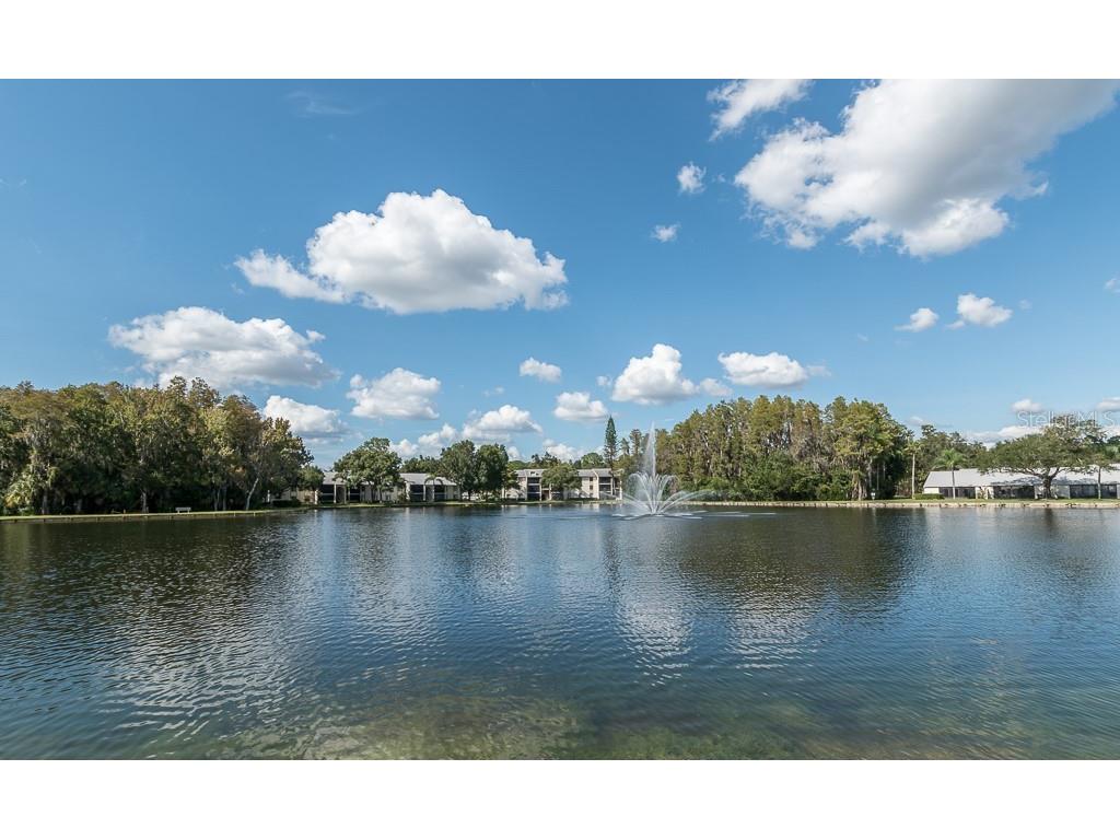 3101 Lake Pine Way #A1 Tarpon Springs FL 34688 TB8462617 image22