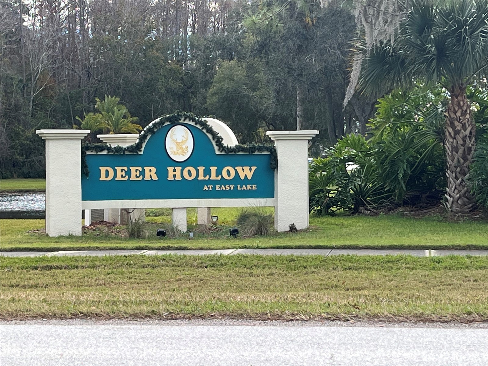 3101 Lake Pine Way #A1 Tarpon Springs FL 34688 TB8462617 image23