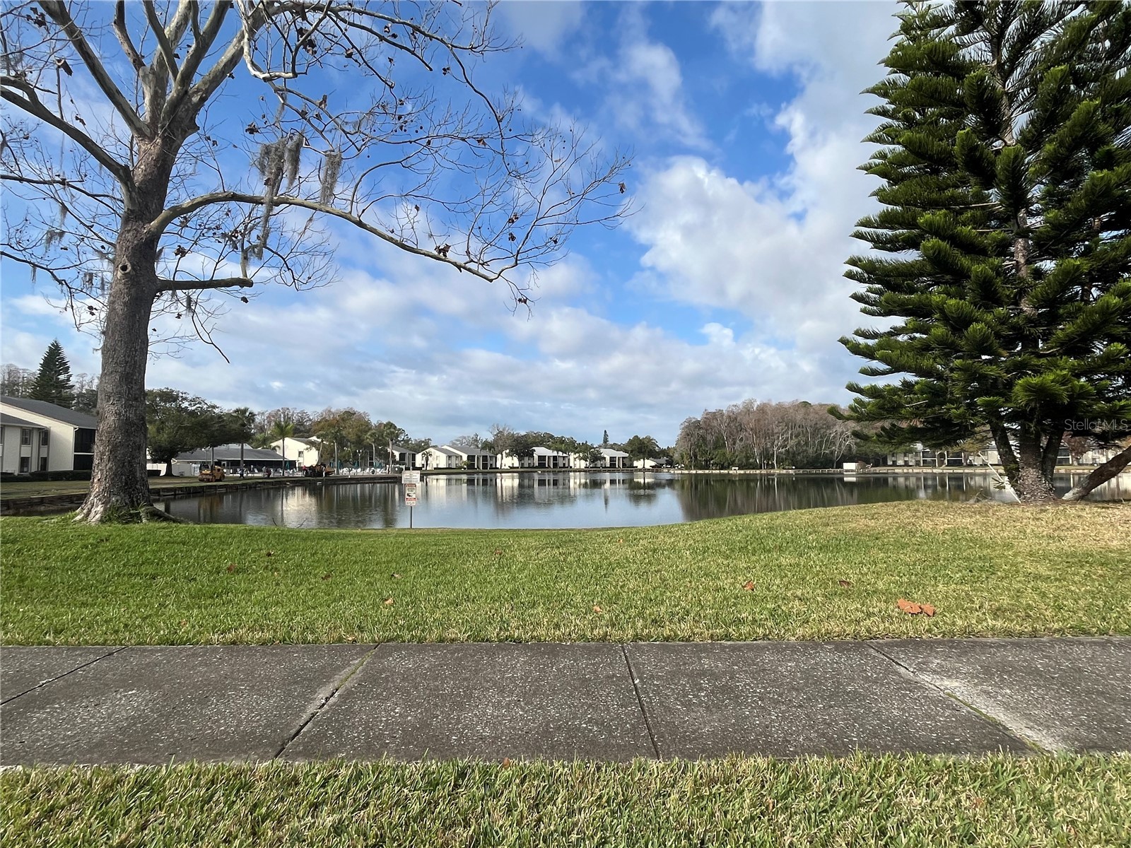 3101 Lake Pine Way #A1 Tarpon Springs FL 34688 TB8462617 image24