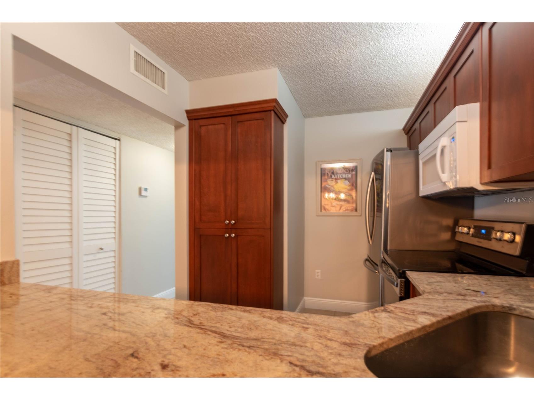 3101 Lake Pine Way #A1 Tarpon Springs FL 34688 TB8462617 image6