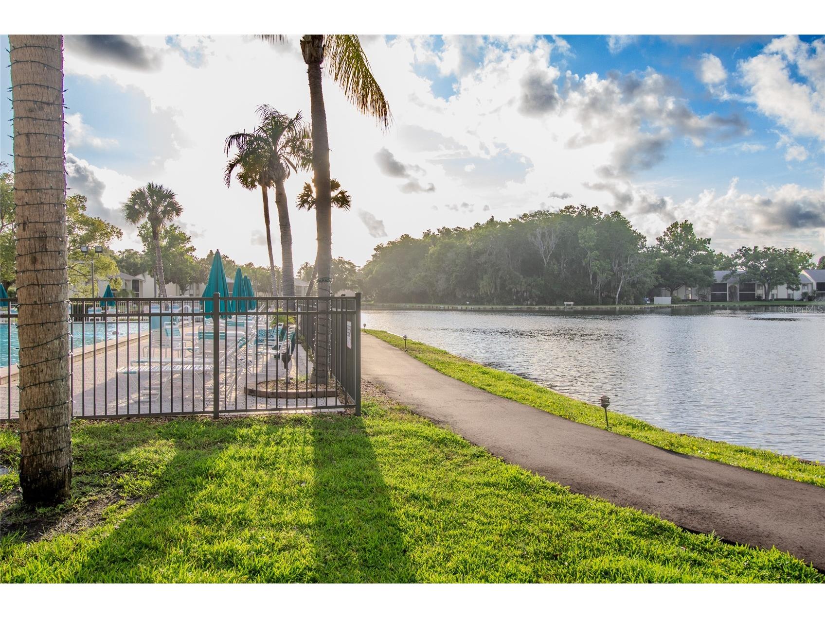 3101 Lake Pine Way S #G2 Tarpon Springs FL 34688 TB8514692 image25