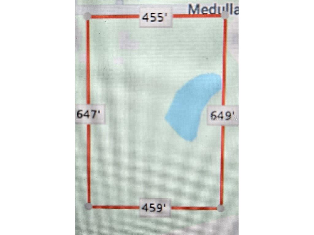 3101 Medulla Road Plant City FL 33566 TB8378840 image10