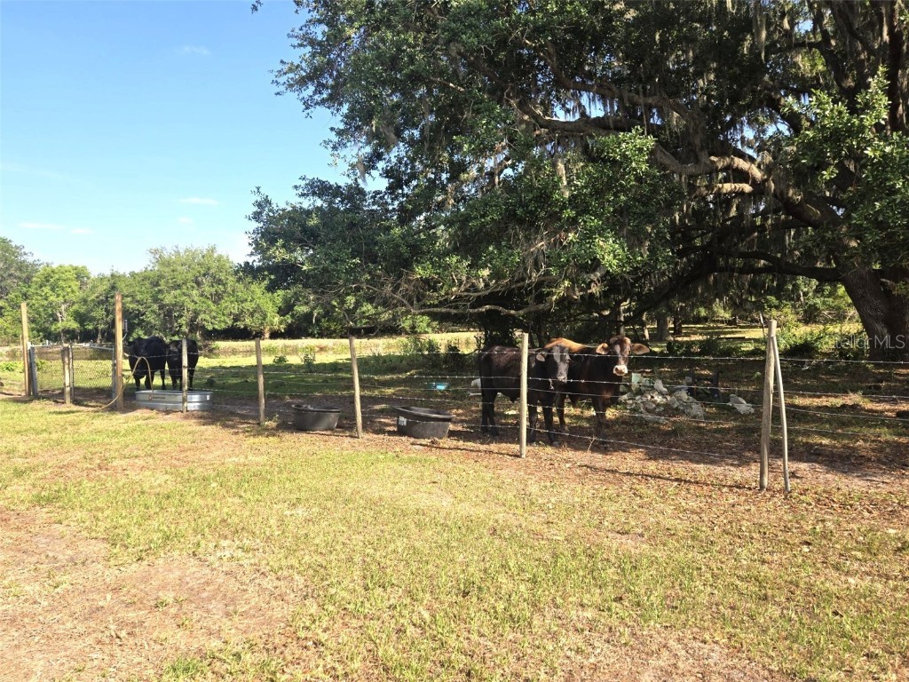 3101 Medulla Road Plant City FL 33566 TB8378840 image54