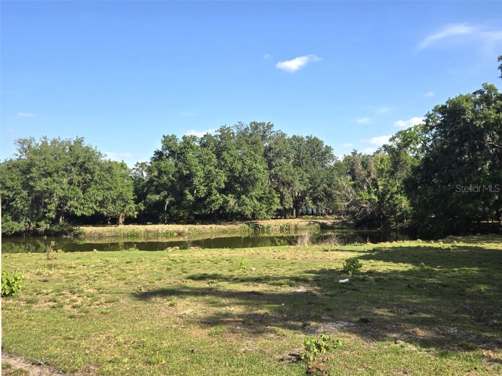 3101 Medulla Road Plant City FL 33566 TB8378840 image58
