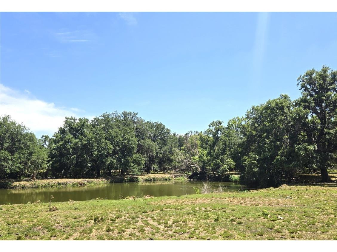 3101 Medulla Road Plant City FL 33566 TB8378840 image59