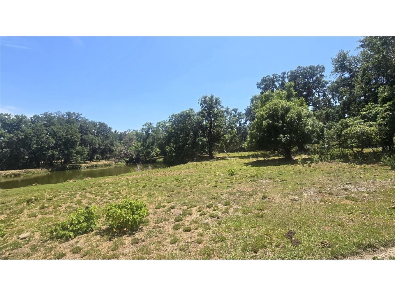 3101 Medulla Road Plant City FL 33566 TB8378840 image60