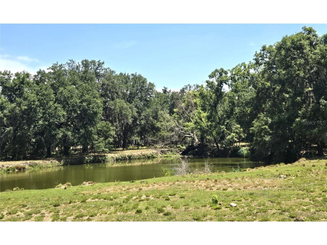 3101 Medulla Road Plant City FL 33566 TB8378840 image61