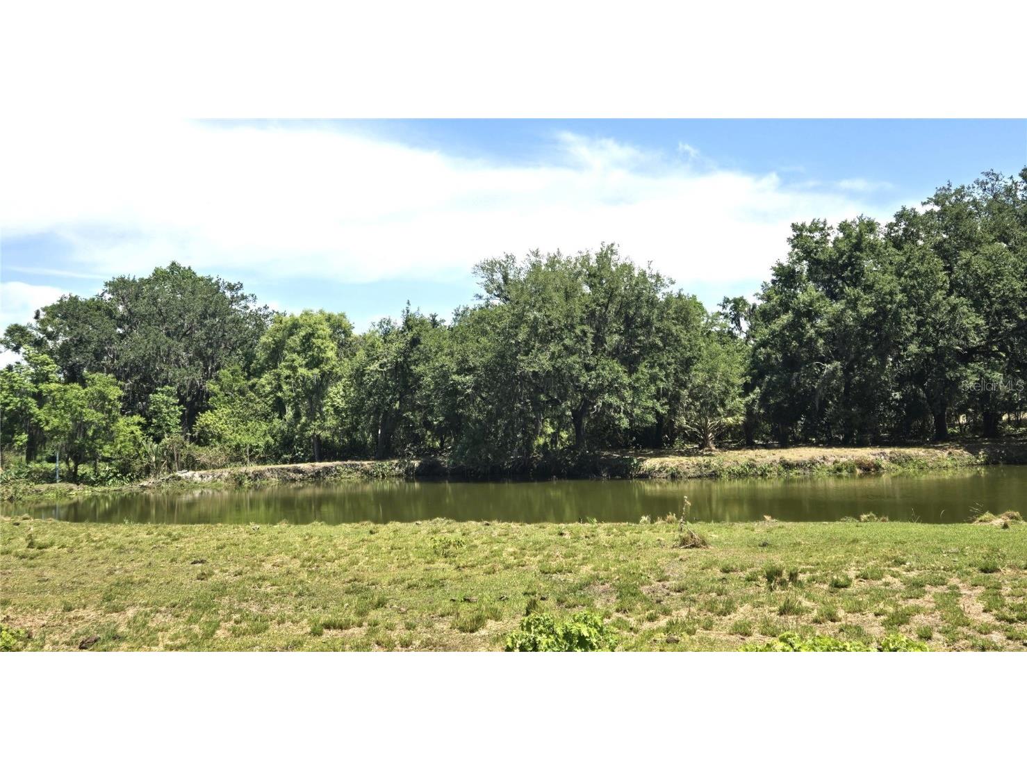 3101 Medulla Road Plant City FL 33566 TB8378840 image62