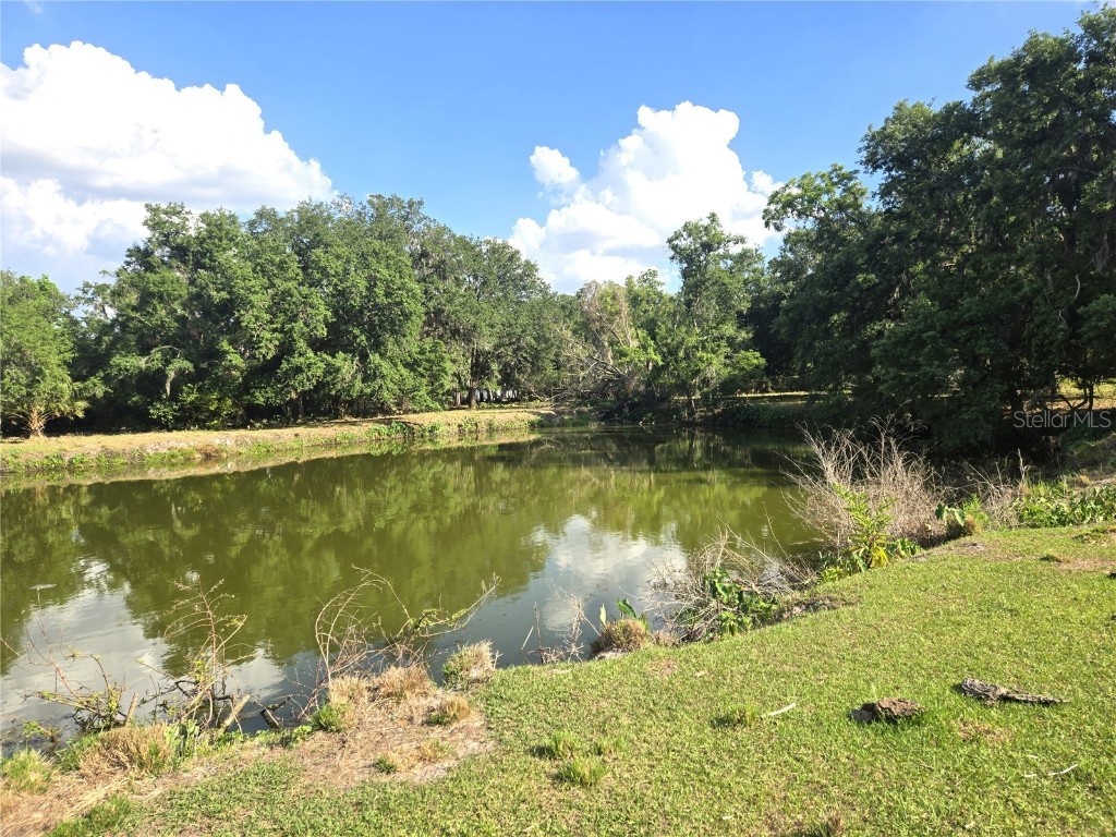 3101 Medulla Road Plant City FL 33566 TB8378840 image73