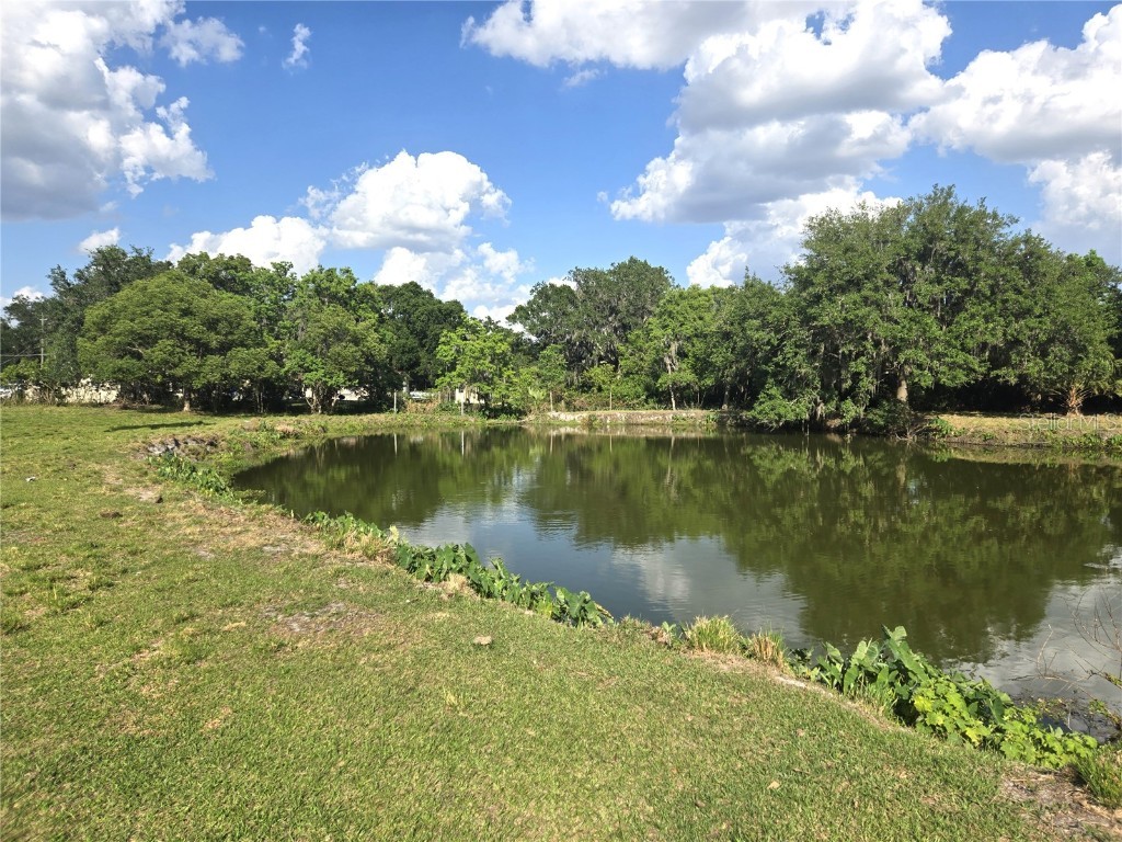 3101 Medulla Road Plant City FL 33566 TB8378840 image74