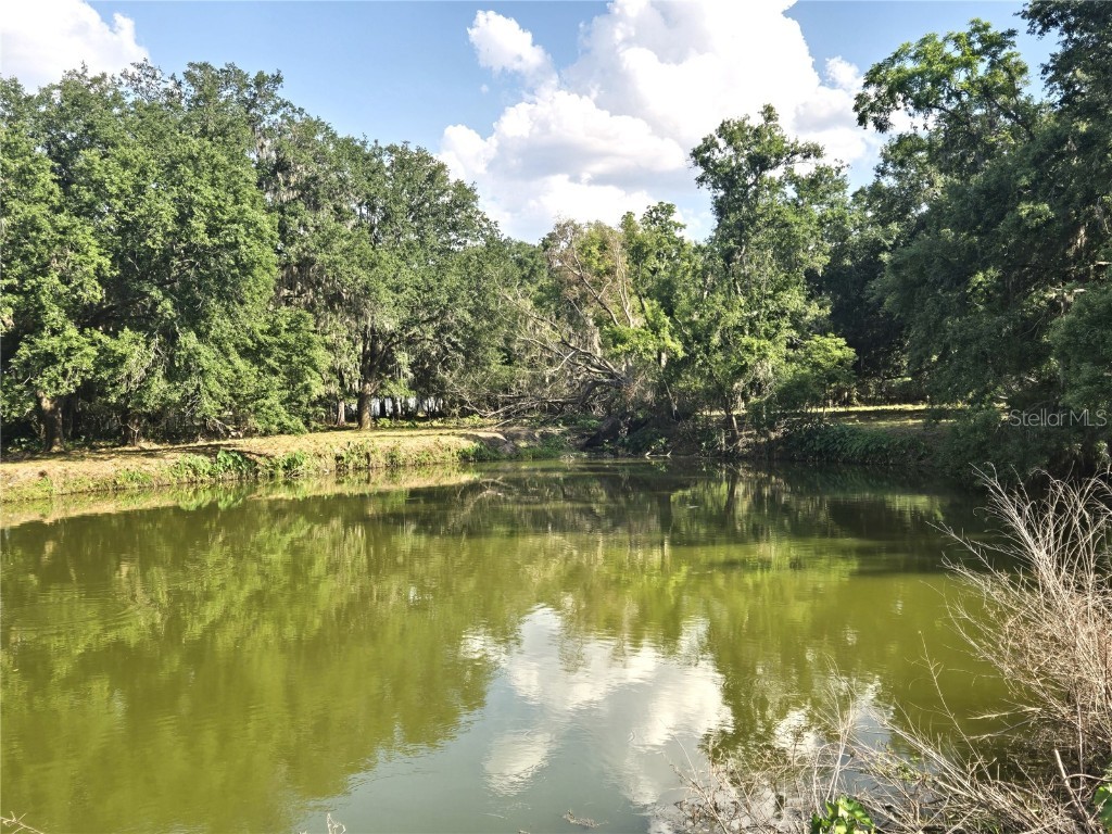 3101 Medulla Road Plant City FL 33566 TB8378840 image75