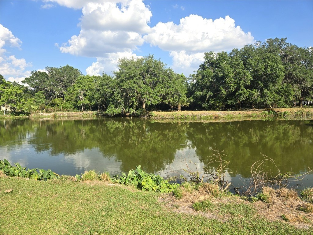 3101 Medulla Road Plant City FL 33566 TB8378840 image76