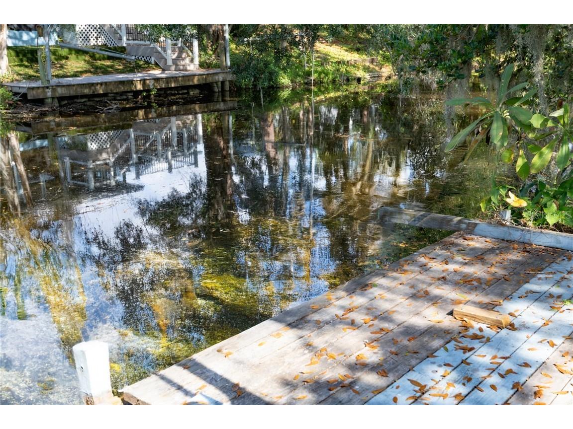 3101 N Canal Drive Palm Harbor FL 34684 - LAKE TARPON TB8446275 image10