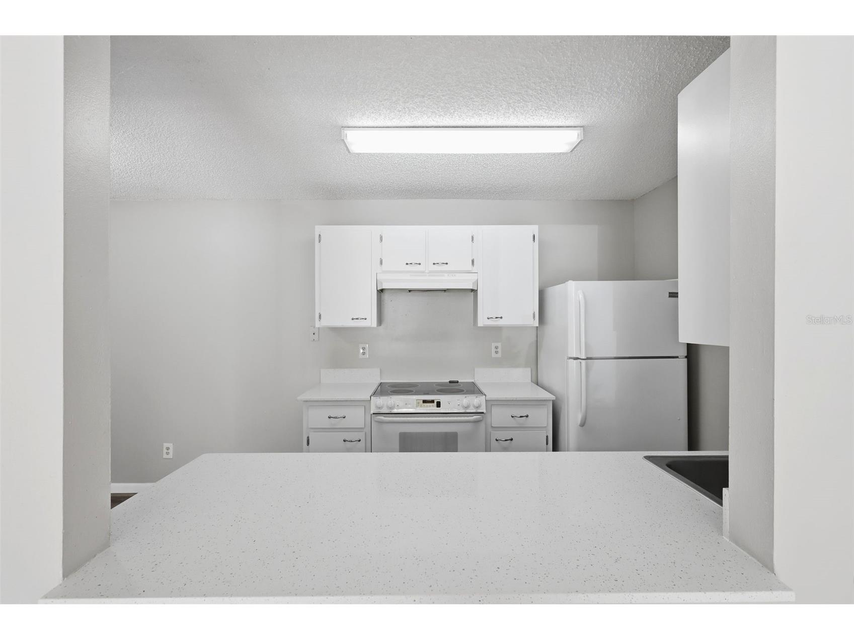 3101 Oak Trail Run Port Orange FL 32127 V4945449 image22